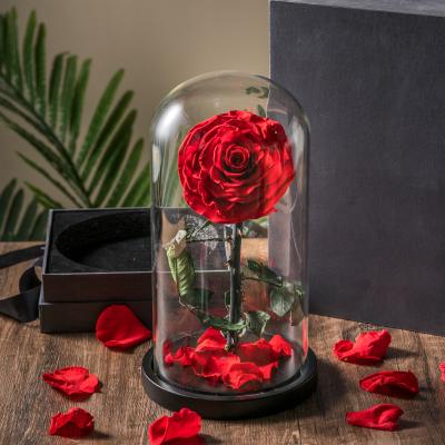 China Valentine's Day Promotion Led Light Beauty And The Beast Rose Pin Glass Preserved Cover for sale