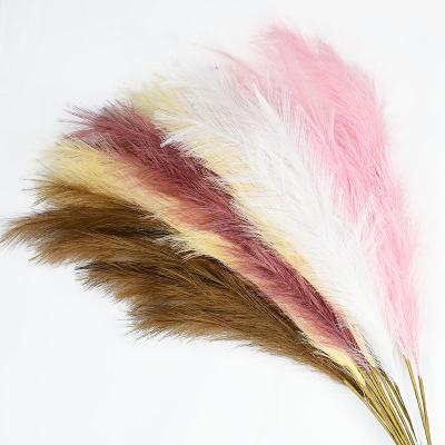 China Fake Fcd1003 Reed Tall And Small Artificial Top Grade Fcp1106 Natural Touch 17 Inch Pampas Grass For Invitation for sale