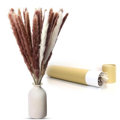 China Cheap Selling Extra Large Natural Touch Flowers Fake 4 Feet Fluffy Dutch Hot Selling Eucalyptus Downcast White Artificial Pampas Grass Dust for sale