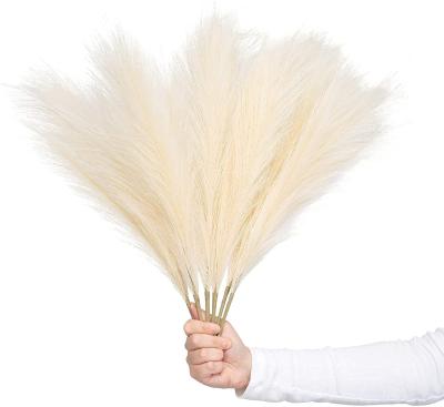 China Natural Touch Success Artificial Feather Grass Decor Brown 65 5 Forks 17 117 60 Pcs Pampas Grass for sale