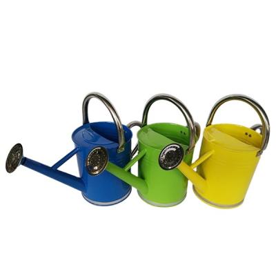 China 4.5L Indoor / Outdoors Powder Coated Metal Watering Can For Garden Use for sale