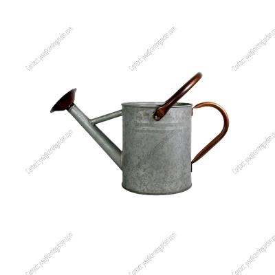 China Metal WATRING METAL CAN FOR USA GARDEN for sale