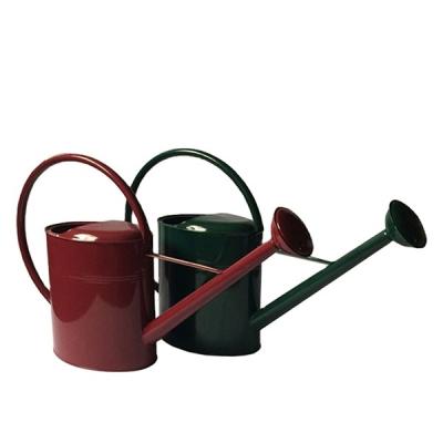 China 10L Indoor/Outdoor Large Capacity Metal Watering Cans For USA Market for sale