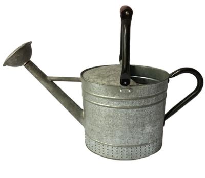 China 7.5L movable handle zinc metal antique watering can for sale