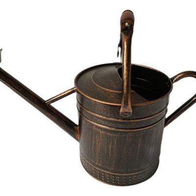 China 10L Fixed Handle Metal Antique Copper Watering Can for sale