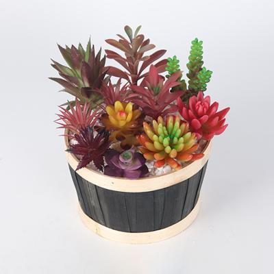 China Large Minimalist Wholesale Artificial Fake Plant Set Plastic Succulent Layout for sale