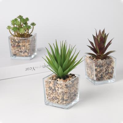 China Wholesale Mini Plastic Decoration Simulation Artificial Fake Plant Glass Succulent Bonsai Plant Minimalist Succulent Arrangement Bonsai for sale