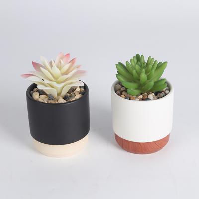 China Minimalist Miniature Artificial Succulent for sale