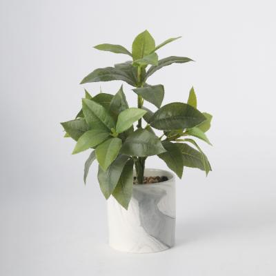 China Wholesale Plastic Artificial Plants 45cm Minimalist Artificial Plant Watercress With Cement Pot for sale