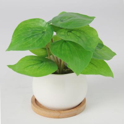 China Hot Selling Artificial Grass Minimalist Amazon Flower Plant Mini Plastic Potted Tree Pot Wholesales for sale