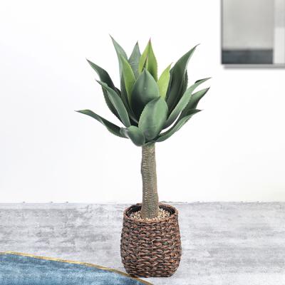 China Evergreen Plants Minimalist Ornamental Faux Plant Agave Bonsai Tree Indoor Green Outdoor Artificial Aloe for sale