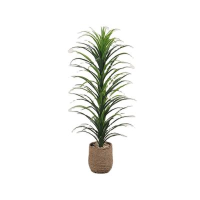 China 2021 Hot Sale Minimalist Inexpensive Price Plant Artificial Agave Yucca Plant For Garden And Home Decoration for sale