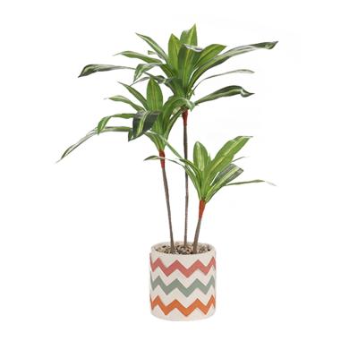 China High Quality Minimalist Artificial Cycas Trees Dracaena Plants Wholesaler Plant Yucca For Sale for sale