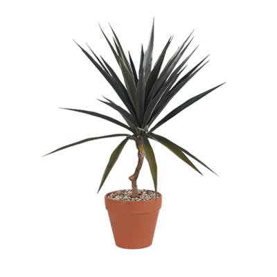 China Outdoor Minimalist With UV Resistant Yellow Edge Plastic Artificial Agave Aloe Sansevieria Variegated Plants for sale