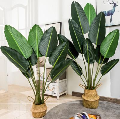 China Environmentally Friendly High Imitated Artificial Plastic Bird Banana Tree Fake Paradise Fake Banana Bonsai Leaves Plants Traveler Tree For Indoor for sale