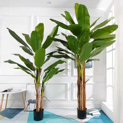 China Minimalist 210Cm Decoration Skybird Of Paradise Traveler Banana Bonsai Plant Tree Fake Large Greenery Outdoor Plastic Artificial Fake for sale