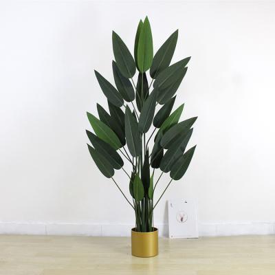 China Minimalist 180Cm Ornamental Real Touch Faux Traveler Banana Plastic Silk Artificial Bird Paradise Skybird Plant Banana Palm Tree for sale