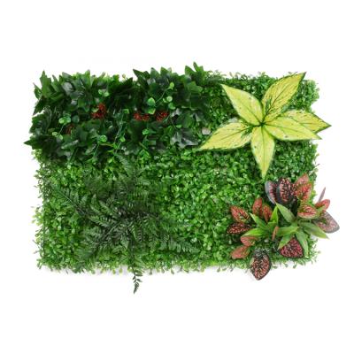 China Anti-UV Minimalist Boxwood Cheap Plastic Fake Hedge Factory Price Artificial Wall For Garden Decoration for sale