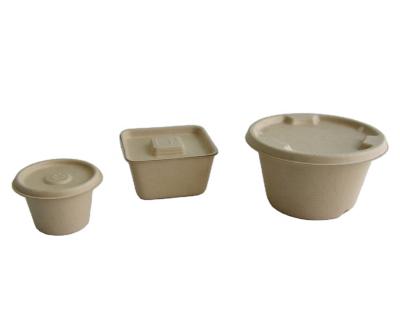 China Restaurant Biodegradable Biodegradable Disposable Food Bowl Container Microwave Food Packaging Fast Food for sale