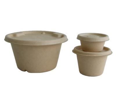 China Wholesale Hot Sale Biodegradable Custom Bagasse Food Packaging Container Biodegradable Lunch Bento Paper Box for sale