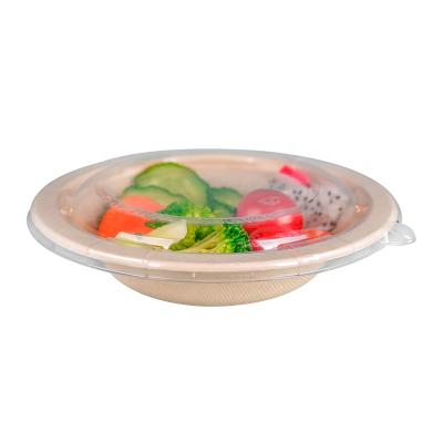 China Biodegradable Disposable Sugarcane Bagasse Sushi Pulp Sushi Food Packing Dish Dish With Lid for sale