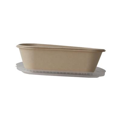 China Disposable 16oz Bagasse Biodegradable Paper Rolls Rectangle Food Containers With Round Corners for sale