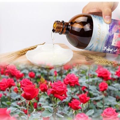 China Skin Revitalizer Rose Essential Oil Kevinleo Natural Massage Oil Natural Naked Back Scrap Plant Rose Hotel Business Waterless Home Fragrance for sale