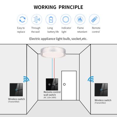 China Remote Control Wifi Smart Switches with AES Encryption and AC/DC Power Supply for sale