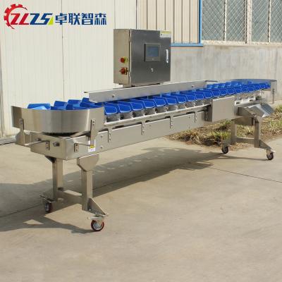 China 230*110*60 Chicken Feet/Poultry and Seafood Weight Sorting and Grading Machine/Weight Sorter Machine for Poultry for sale