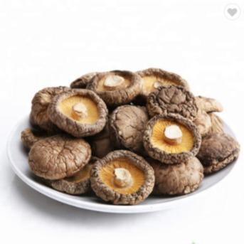 China De Shiitake de vida útil de la seta 1kg 2 años superficiales lisos secos sanos en venta