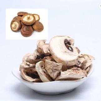 China 10x10mm Brown Japanese Dry Shiitake Mushroom Cultivation Bag Bulk for sale