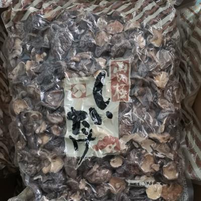 China De natuurlijke Bulk Droge Shiitake-Organische Paddestoelen van Paddestoel Droge Shiitake Te koop