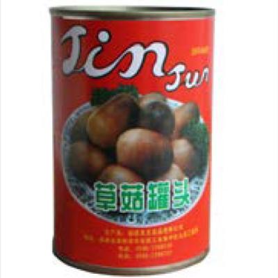 China Fresh Natural Raw Material Canned Fruits Vegetables 425g Farm Mushroom for sale