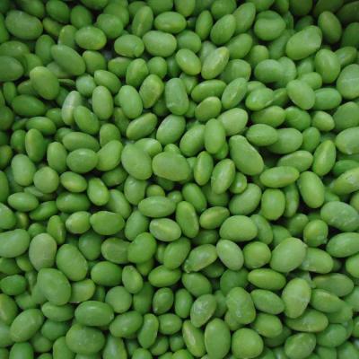 Cina Soia congelata IQF verdure soia sbucciata edamame congelata senza baccelli in vendita