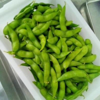 Cina Edamame Beans Mukimame congelato 6cm IQF ha sgusciato Edamame In Pod in vendita