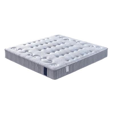 China Air Cloud Memory Foam Modern Soft Ultra Double King and Queen Size Corporate Hotel Bed Sleep Mattress for sale