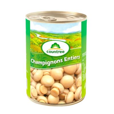 China Hot sale promotion new culture canned button mushroom canned whole mushroom on sale in tin for sale