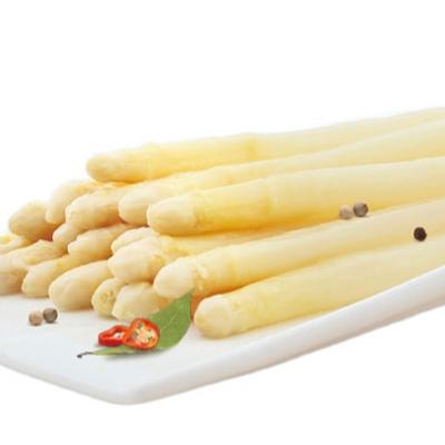 China Factory Direct Canned Supply Canned Grilled Pickled White Asparagus In Pot for sale