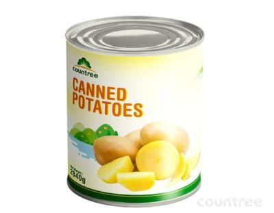 China Rich Export Experience New Season Potato Canned Vegetables in Cans for sale