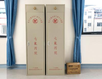 China FM200 Metal Fire Extinguisher Cabinets Sevofluoropropane Gas Automatic Fire Suppression for sale