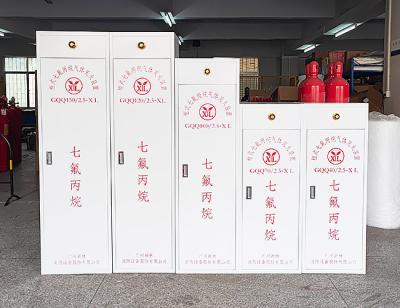 China Gas Fm 200 Fire Suppression System For Server Room Hfc227ea Fm200 Portable Fire Extinguisher Cabinet for sale