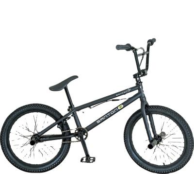 China High Quality DIRT JUMP BMX Freestyle Sport Bicycle For Adult for sale