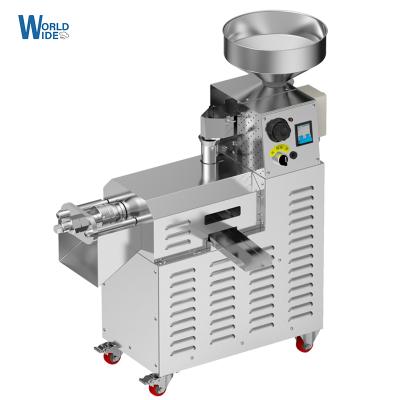 China New Stainless Steel Hotels Oil Cold Press Machine Oil Extractor Presser Commercial Home Expeller 110V or 220V Available for sale