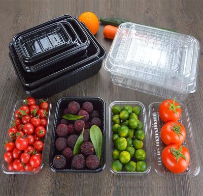 China Supplying Wholesale Disposable Food Blister Plastic Packaging Food Fruit Vegetable Tray for sale