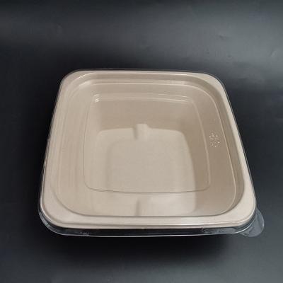 China Disposable PET Food Vegetables Meat Fruits Packaging Fresh Packaging Tray for sale