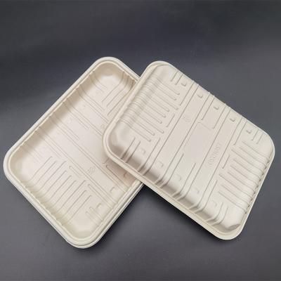 China New Sustainable PBS Material 100% Biodegradable Bamboo Food Container for sale