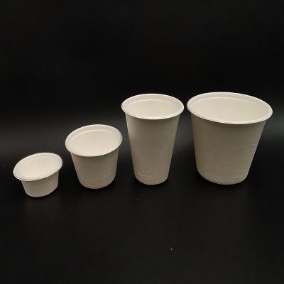 China Disposable Eco-Friendly Biodegradable Sugarcane Bagasse Disposable Tea Cup With Lid for sale