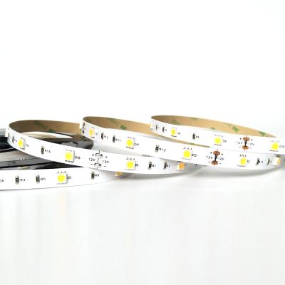 China Park led strip lights 20m RGB 65.6ft 5m Dreamcolor SMD 5050 12V led strip light cinta de lux tira led for sale