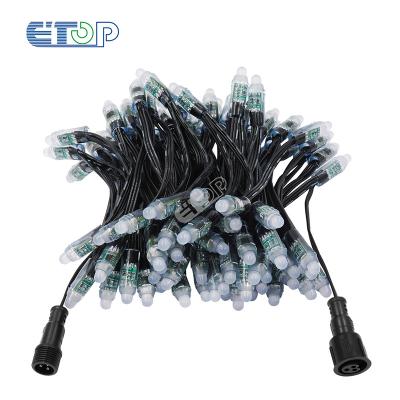 China Free shipping 12v full color LANDSCAPE RGB led pixel led rgb string IP68 WS 2811 100ct smart led pixel lights for sale