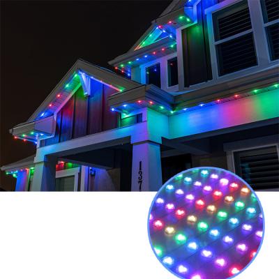 China LANDSCAPE Dot Led Pixel Light Outdoor High Quality DC 12v 30mm Ws2811 Modul Pixel Led Lights for sale